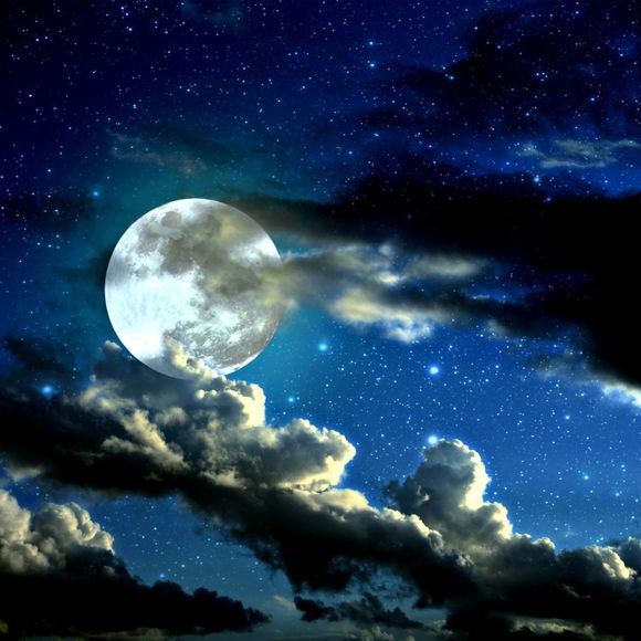 Meet your Posher, Tamarra - Picture 1 of 1